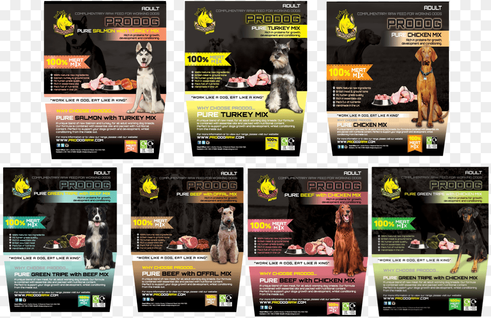 Blog Food, Advertisement, Poster, Animal, Canine Png