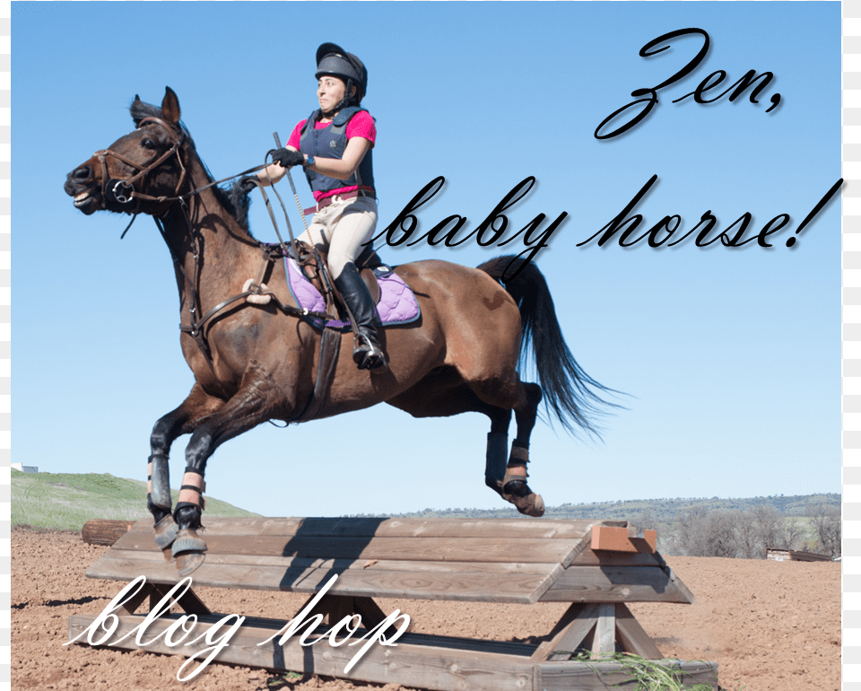Blog Hop Jump A Horse, Animal, Equestrian, Mammal, Person Free Png Download