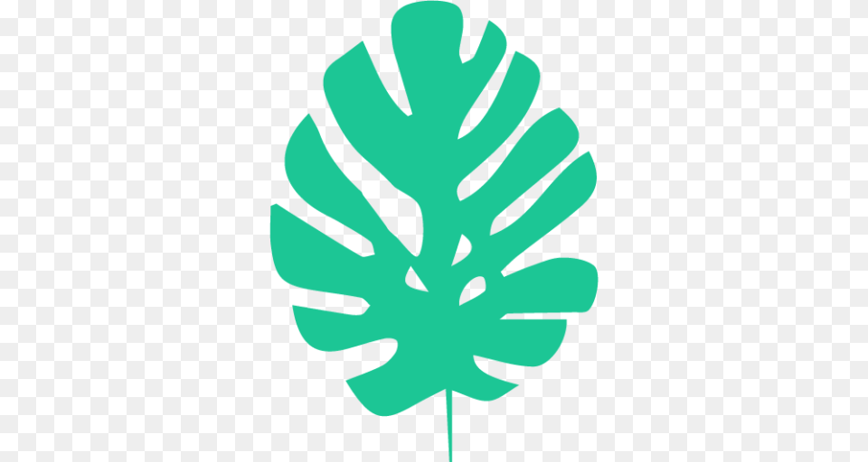 Blog Knowles Maui, Leaf, Plant Free Transparent Png