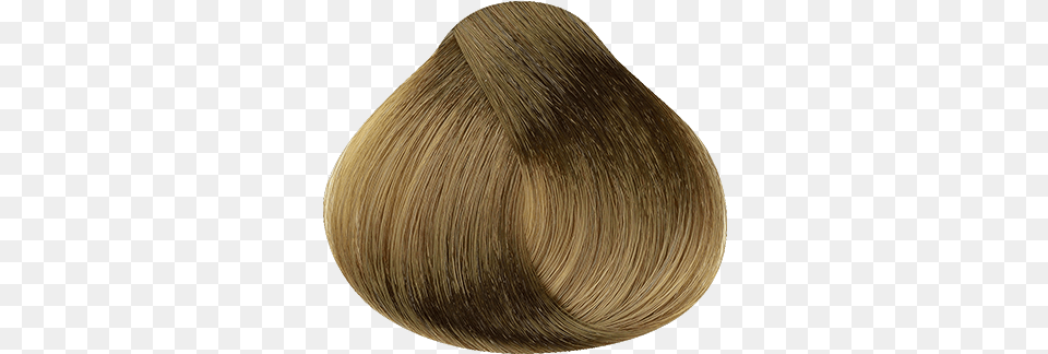 Blond, Animal, Clam, Food, Invertebrate Free Transparent Png