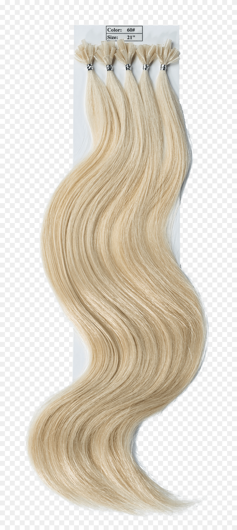 Blond, Adult, Female, Hair, Person Png