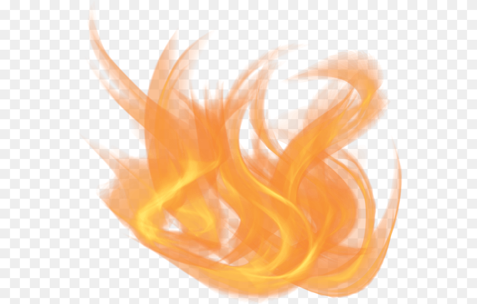 Blond, Fire, Flame, Flower, Plant Png Image