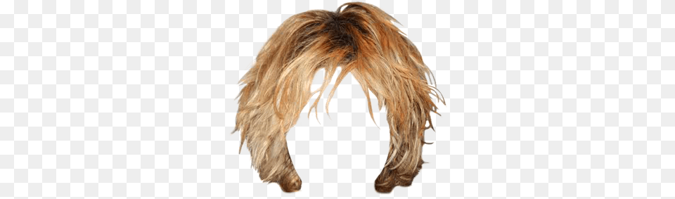 Blond Shaggy Hair Transparent, Adult, Female, Person, Woman Free Png