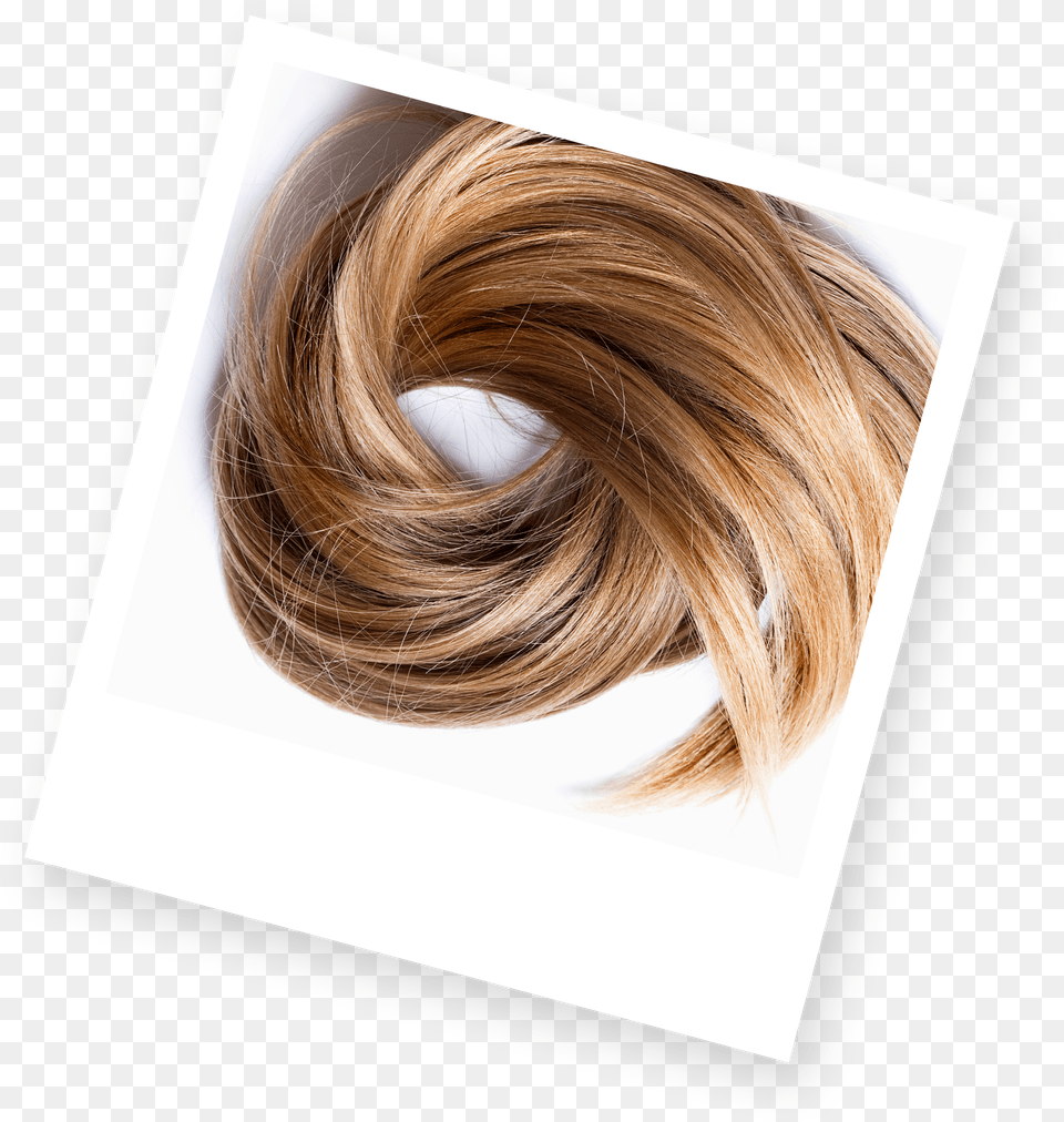 Blonde Hair Human Hair Color, Adult, Female, Person, Woman Png