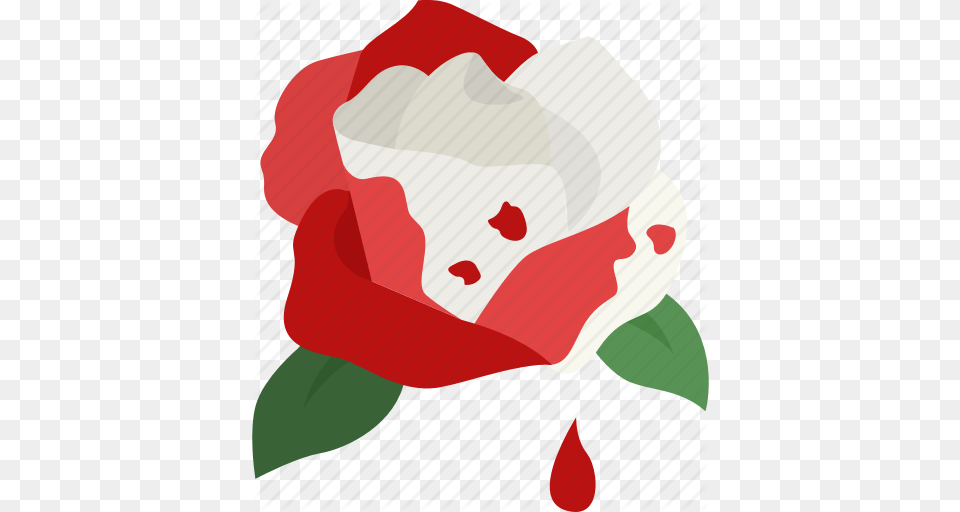 Blood Dripping Painted Red Rose White Icon, Flower, Petal, Plant, Baby Png Image