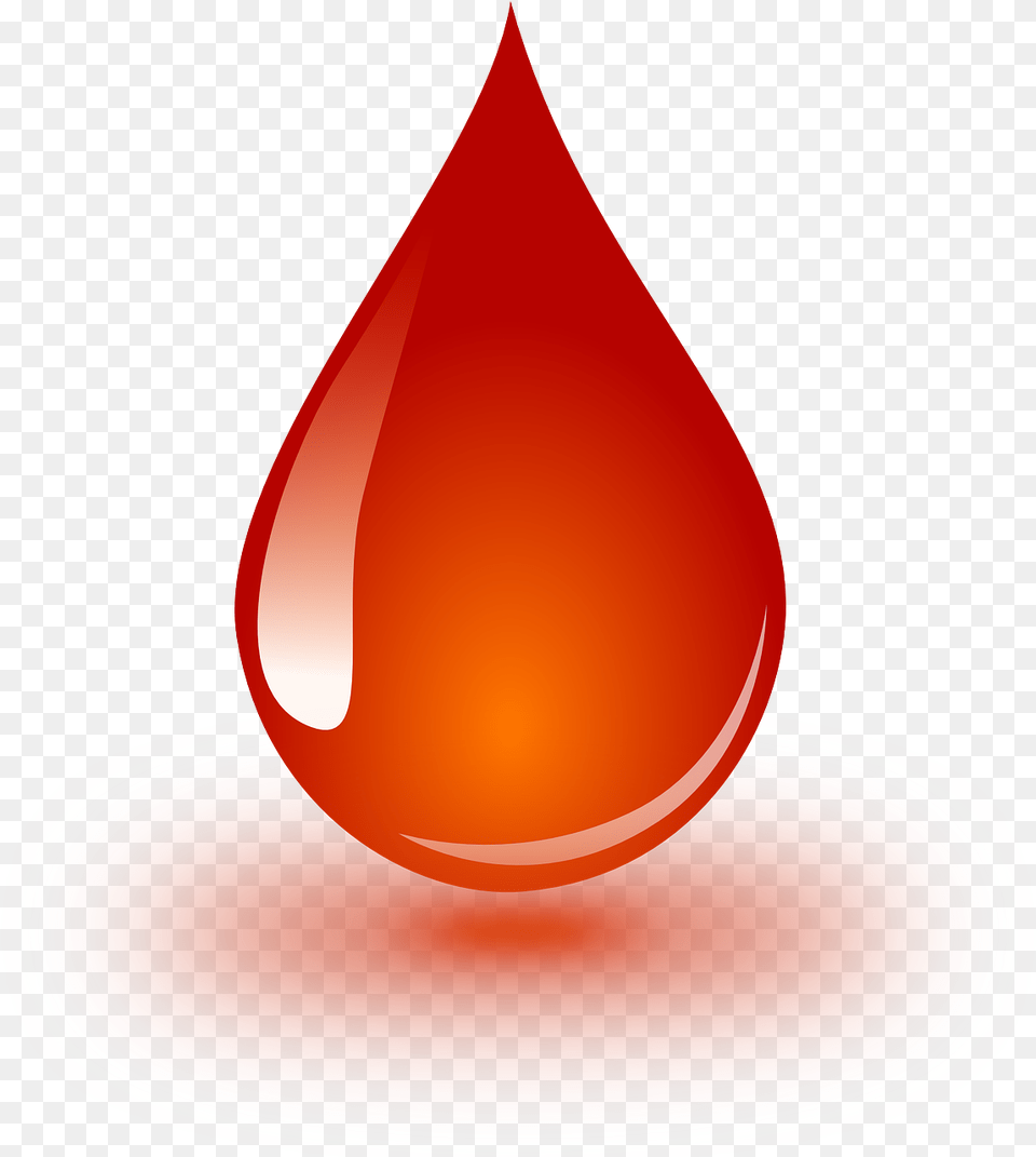 Blood Drop Clipart, Droplet, Flower, Petal, Plant Free Transparent Png