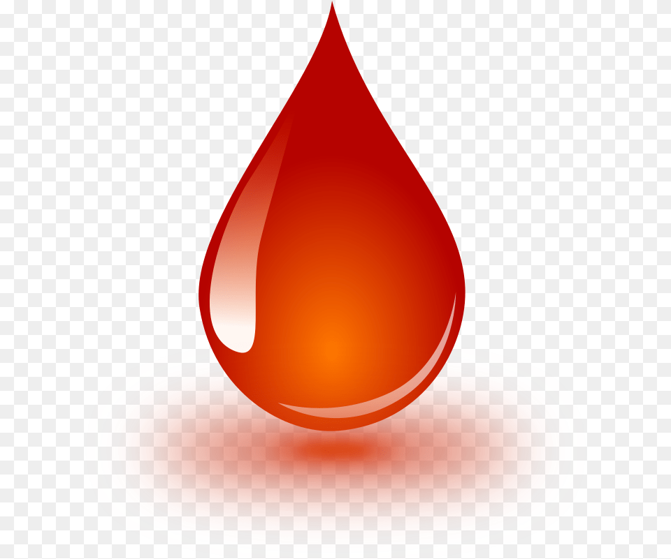 Blood Drops Blood Drop Clipart Transparent, Droplet, Flower, Petal, Plant Free Png