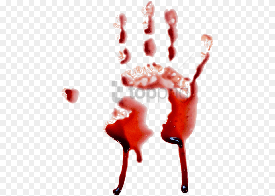 Blood Hand Photo Images Background Hand Blood, Stain, Baby, Person, Head Free Png Download