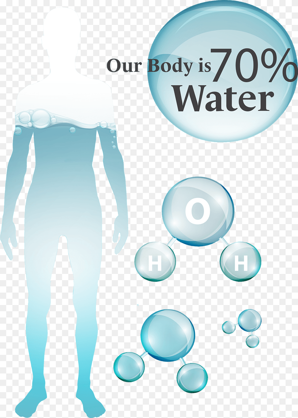 Blood In Water Water Percent In Body, Adult, Person, Man, Male Free Png