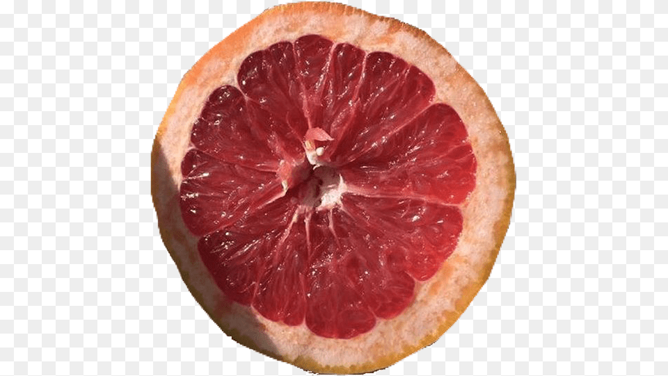 Blood Orange, Citrus Fruit, Food, Fruit, Grapefruit Free Png Download