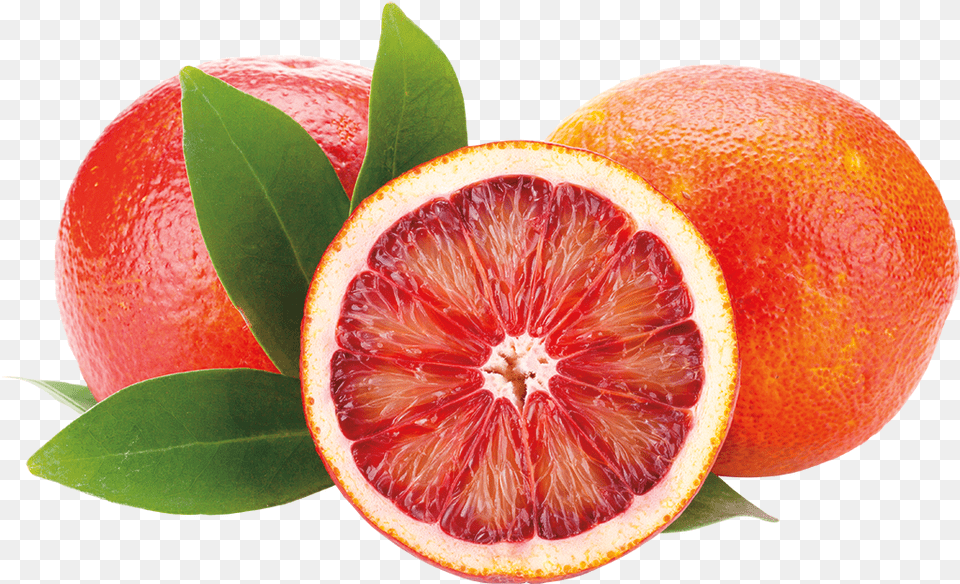 Blood Orange Slim Hunger Control Info Sheet, Citrus Fruit, Food, Fruit, Grapefruit Free Transparent Png