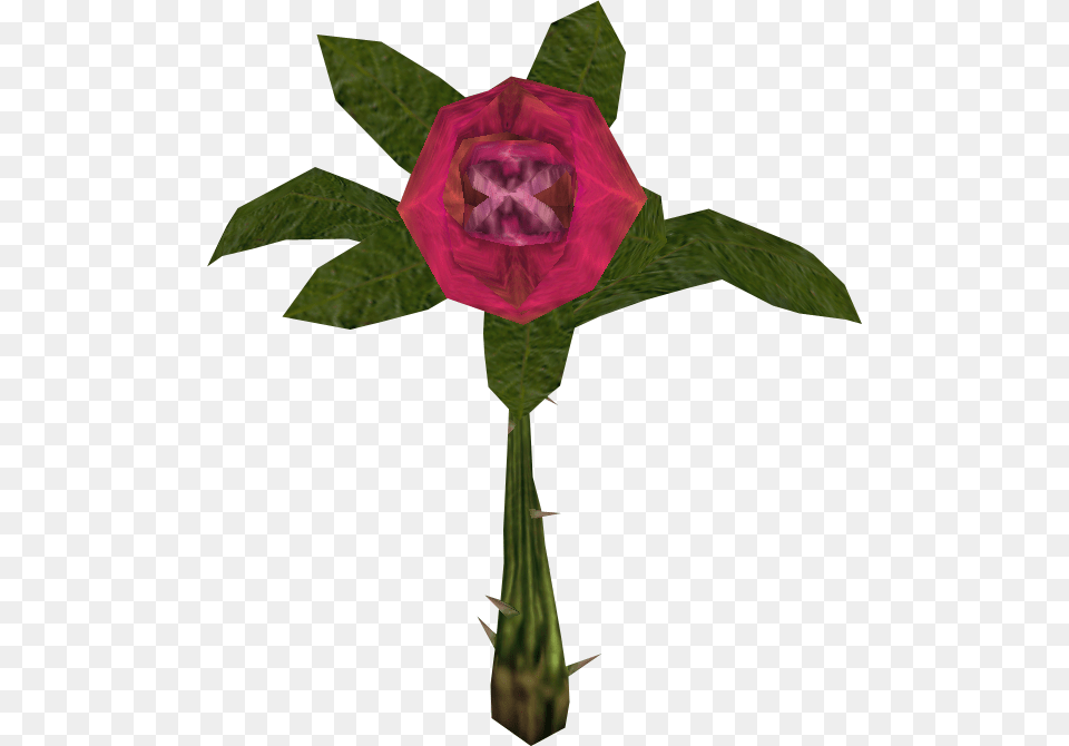 Blood Rose Alice Wiki Fandom Powered, Flower, Plant, Art, Cross Free Png Download