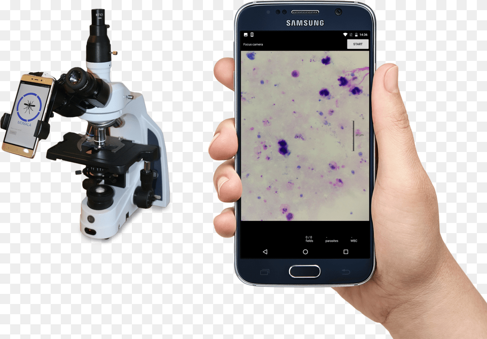 Blood Smear, Electronics, Mobile Phone, Phone, Microscope Free Png Download