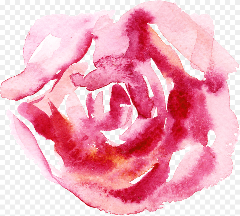Blood Stamen Cartoon Transparent Garden Roses, Flower, Petal, Plant, Rose Free Png Download