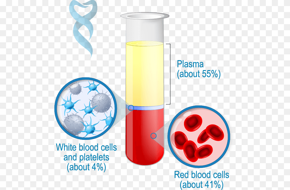 Blood Structure Prf Plasma Red And White Blood Cells, Cup, Bottle, Shaker Free Transparent Png