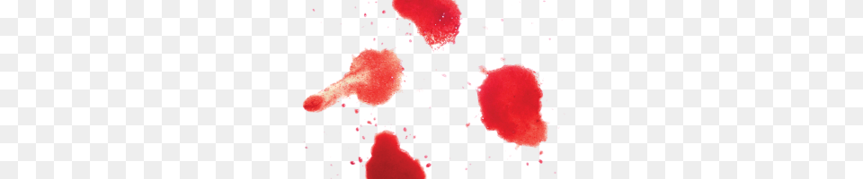 Blood Tumblr Image, Stain, Fireworks Free Transparent Png
