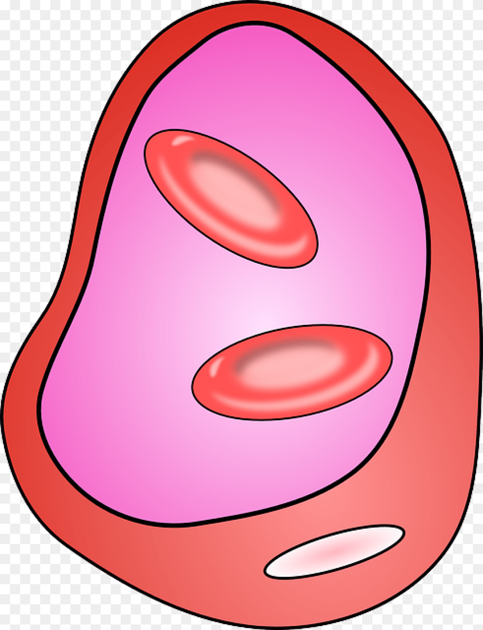 Blood Vessels Cell Clipart Transparent, Food Free Png Download