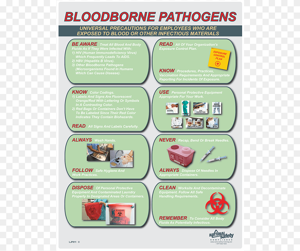 Bloodborne Pathogens Poster, Advertisement, Person, Text Free Png Download