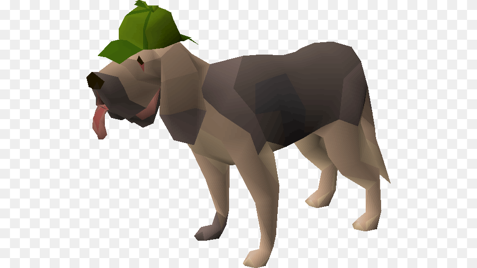 Bloodhound Pet Bloodhound Pet Osrs, Baby, Person, Animal, Mammal Free Transparent Png