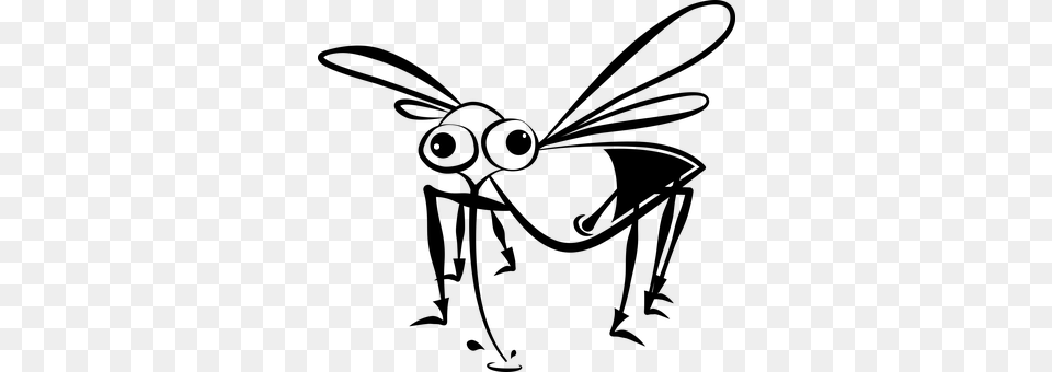 Bloodsucker Bug Insect Mosquito Pest Vampi Insect Cartoon Black And White, Nature, Night, Outdoors, Lighting Free Png