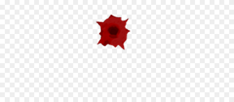 Bloody Bullet Hole Image, Leaf, Plant, Flower, Rose Png