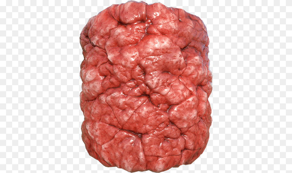 Bloody Organ Intestine Or Flesh Texture, Mineral, Accessories, Ornament, Jewelry Png