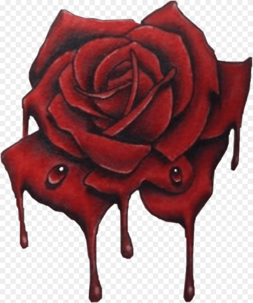 Bloody Rose Drawings Of Bloody Rose, Flower, Plant, Maroon Free Transparent Png