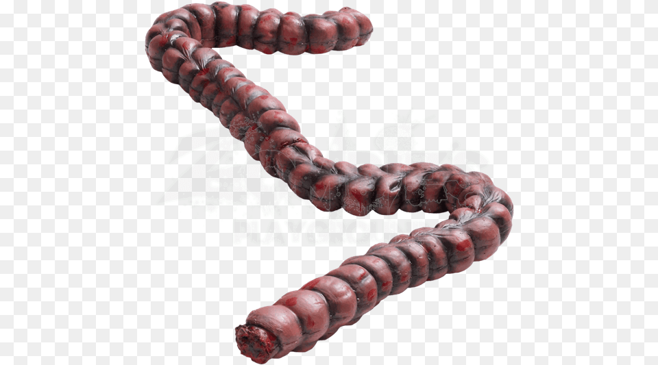 Bloody Zombie Intestines, Accessories, Bead, Animal, Food Free Png