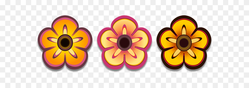 Bloom Flower, Plant, Daisy, Art Free Png
