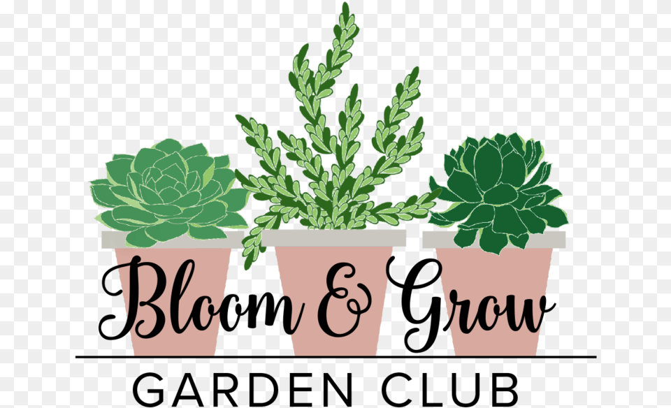 Bloom And Grow Radio, Vase, Pottery, Potted Plant, Planter Free Transparent Png