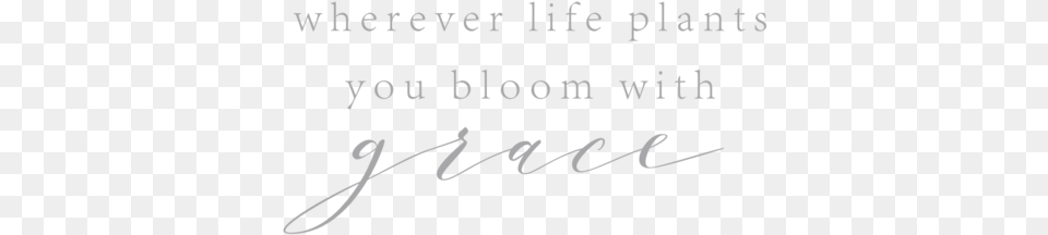Bloom Calligraphy, Handwriting, Text Png Image