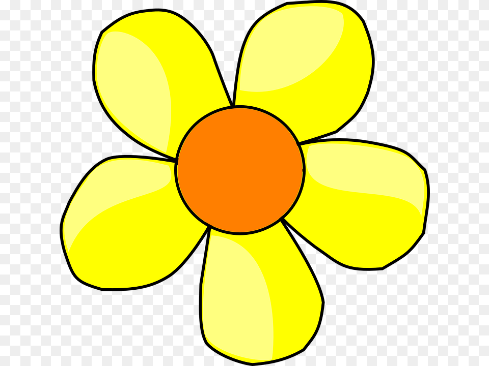 Bloom Daisy Clipart Explore Pictures, Plant, Petal, Daffodil, Flower Png Image