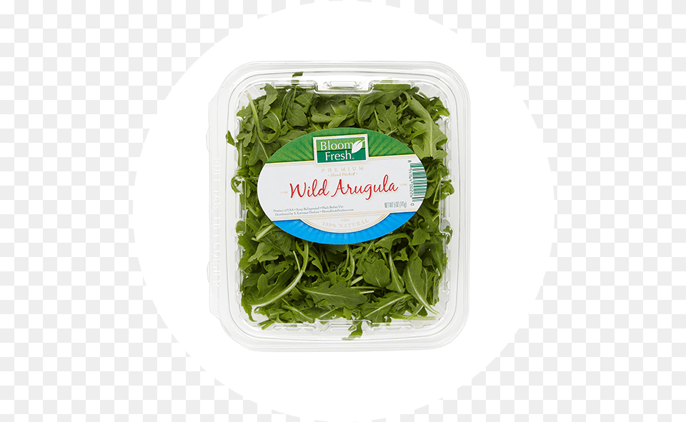 Bloom Fresh Salad, Arugula, Food, Leafy Green Vegetable, Plant Free Transparent Png