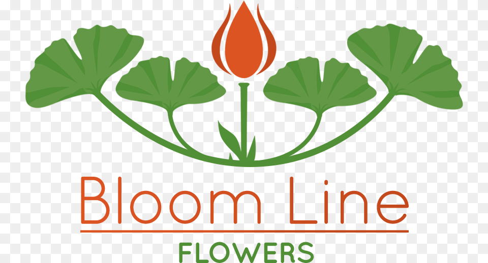 Bloom Line Flowers Illustration, Flower, Geranium, Plant, Herbal Png
