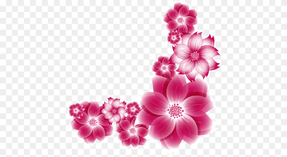 Bloom Pink Frame Flower Border Flowers White Flower Frame Pink, Art, Pattern, Graphics, Floral Design Free Png Download