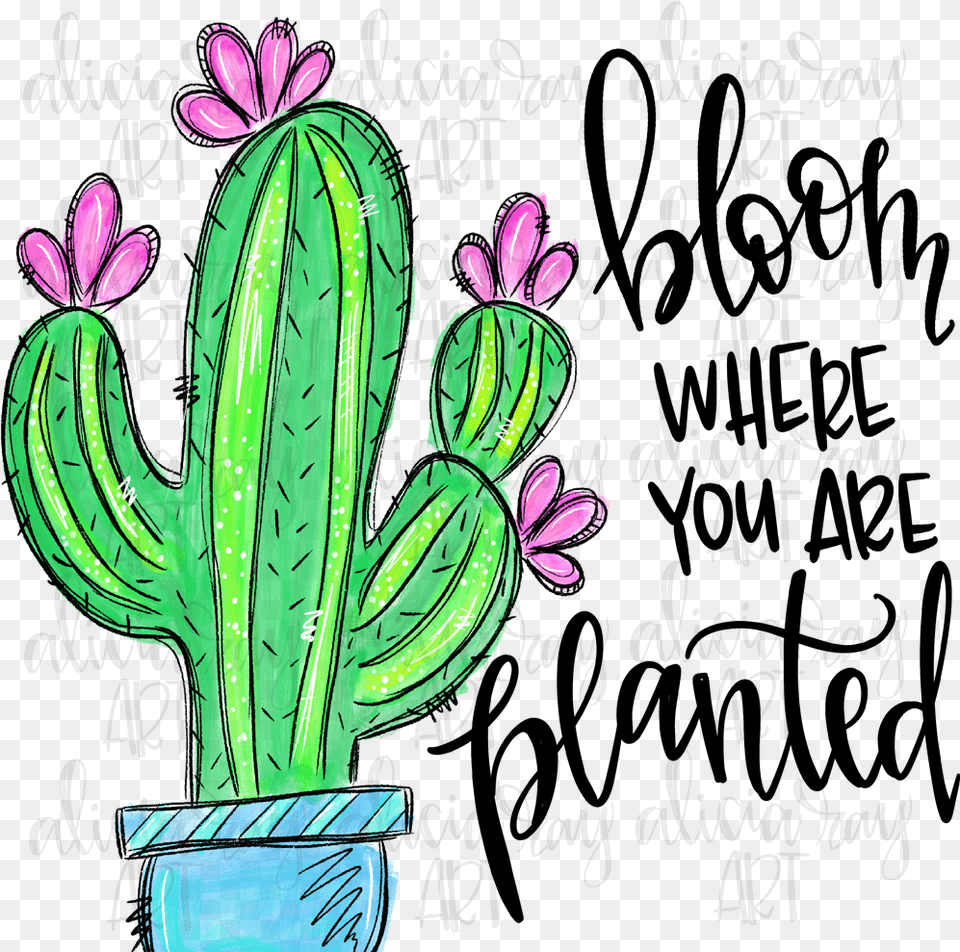 Bloom Where You Re Planted Bloom Where Youre Planted Cactus, Plant Free Transparent Png