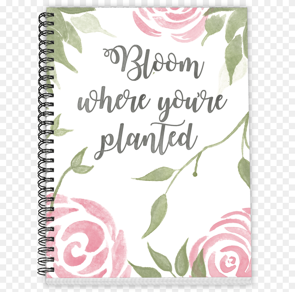 Bloom Where Youre Planted Sketch Pad, Flower, Plant, Rose, Text Free Transparent Png