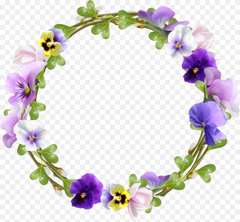 Bloom With Love, Flower, Plant, Purple, Anemone Free Transparent Png