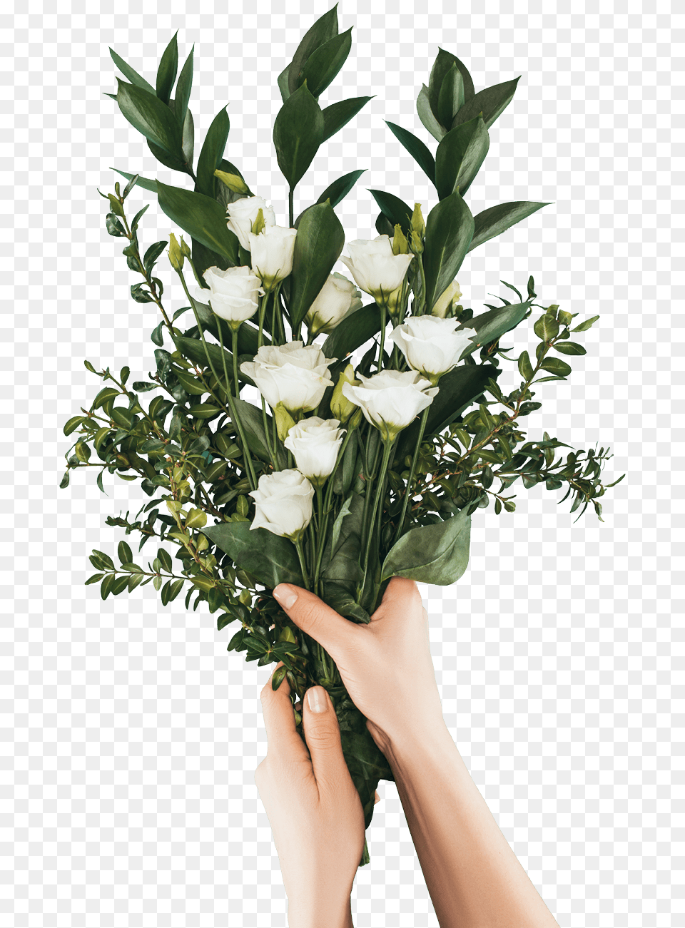 Bloom Your Career With Floristry U0026 Floral Arrangement Stock Photography, Adult, Rose, Plant, Person Png Image