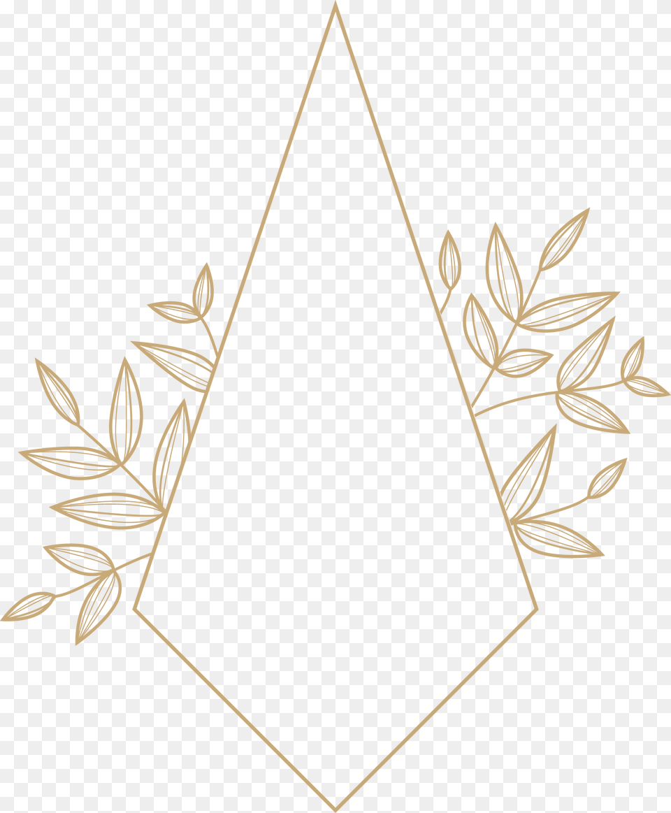 Bloomfield Beauty Co Motif, Triangle, Bow, Weapon Png