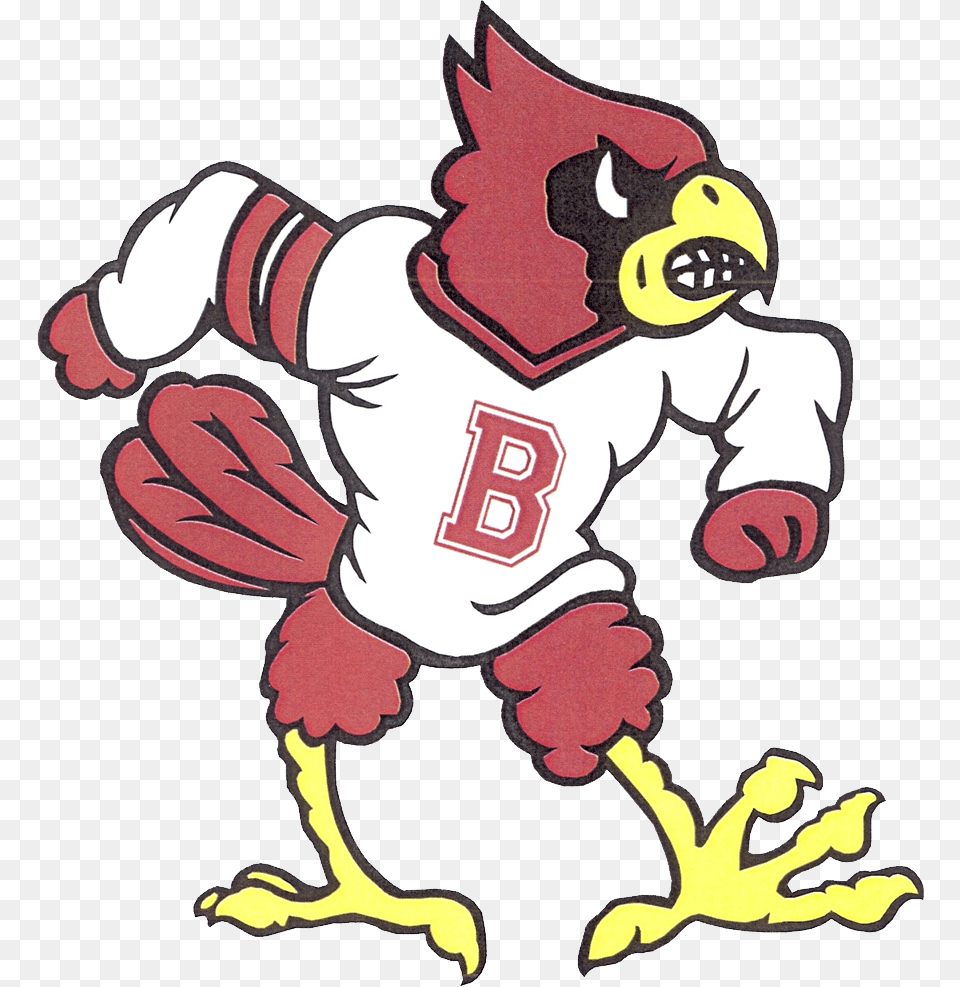Bloomfield Cardinals Louisville Cardinals, Baby, Person Free Transparent Png
