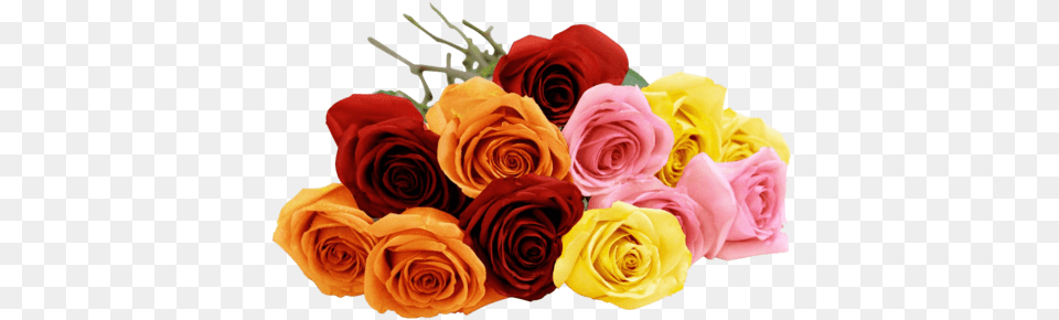 Blooming 12 Long Stemmed Assorted Rose Bouquet Assorted Roses, Flower, Flower Arrangement, Flower Bouquet, Plant Free Png Download