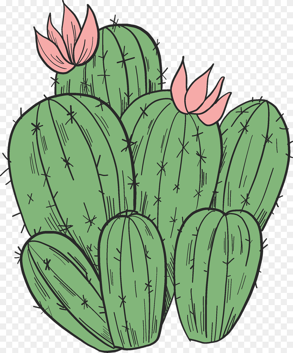 Blooming Cactus Clipart, Plant, Ammunition, Grenade, Weapon Png Image