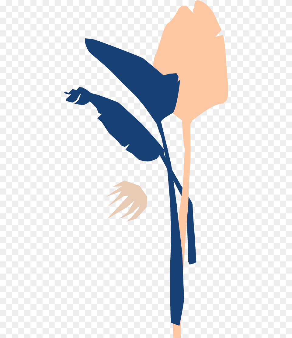 Bloomscape Bird Of Paradise Illustration, Adult, Female, Person, Woman Png