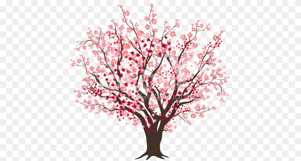 Bloosoming Apple Tree Svg Black And Whit Cherry Blossom Tree Silhouette, Flower, Plant, Cherry Blossom, Adult Png