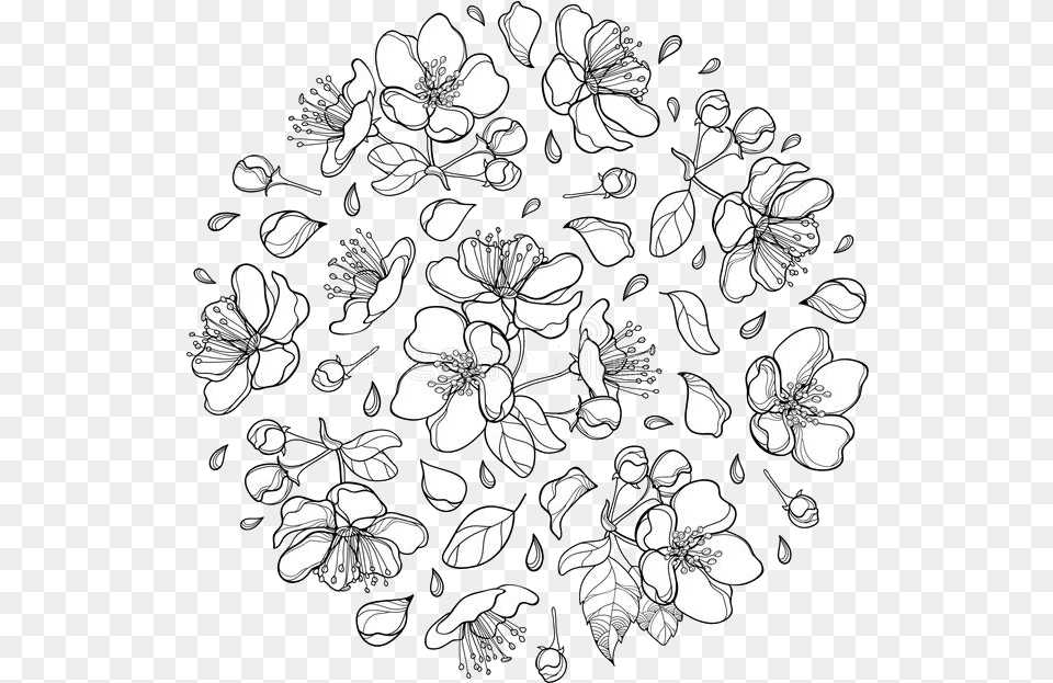 Blossom Appleblossom Flower Overlay Lineart Line Line Art, Floral Design, Graphics, Pattern, Drawing Free Png