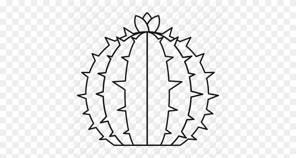 Blossom Cactus Flower Line Lophophora Outline Thn, Weapon, Ammunition, Blackboard Free Transparent Png