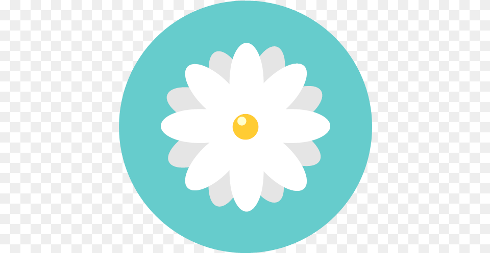 Blossom Chamomile Daisy Flower Flowers Icon, Anemone, Plant, Dahlia Free Png
