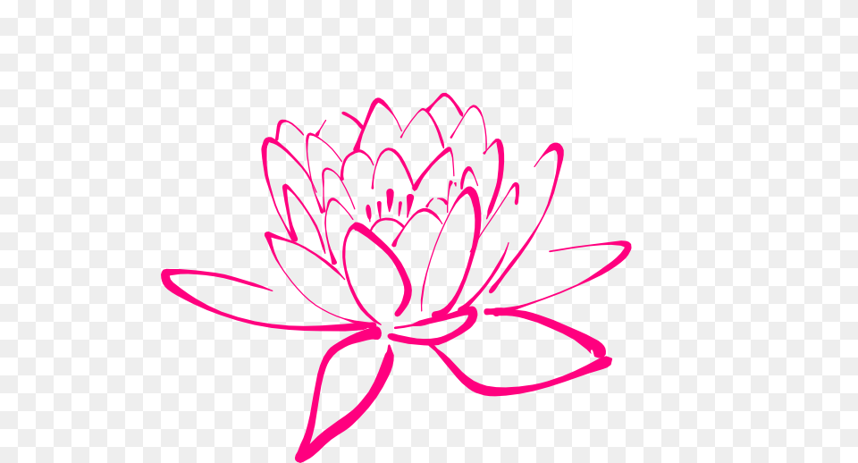 Blossom Clip Art, Dahlia, Flower, Plant, Daisy Free Transparent Png