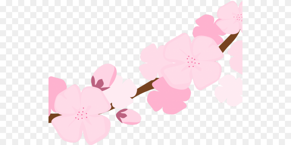Blossom Clipart Sakura Petal Clip Art, Flower, Plant, Cherry Blossom Png Image